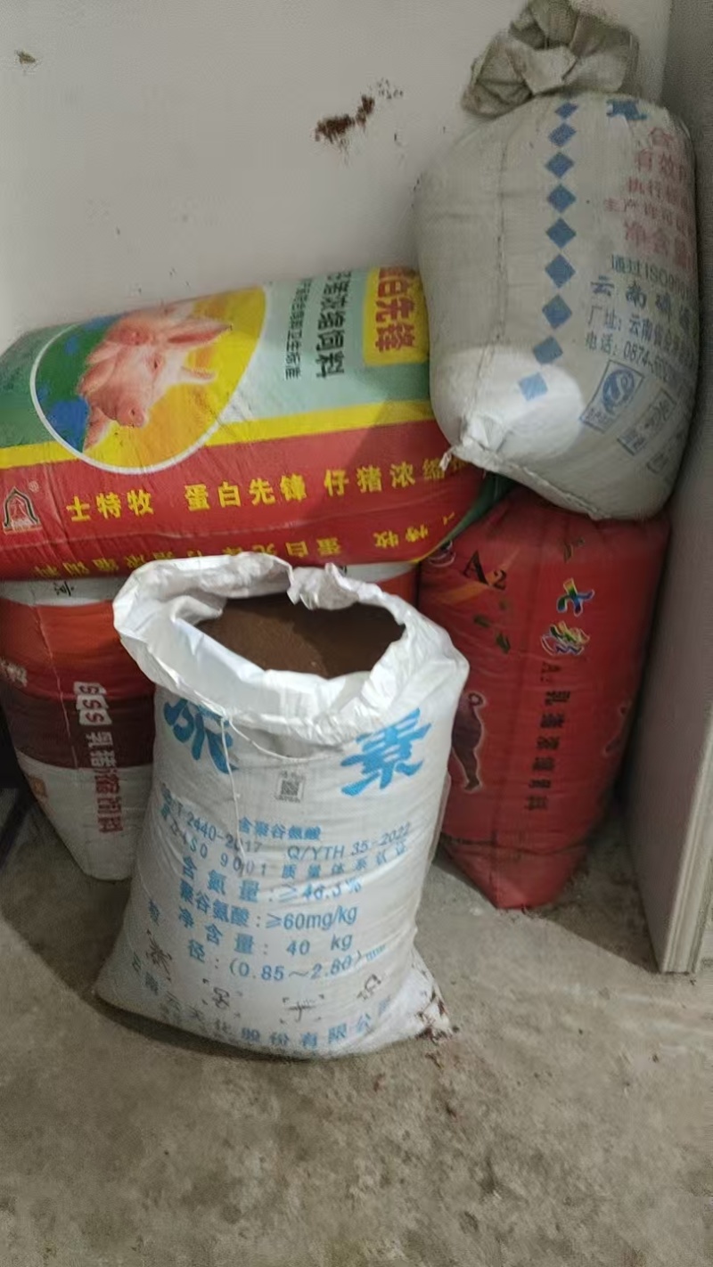 冰粉籽