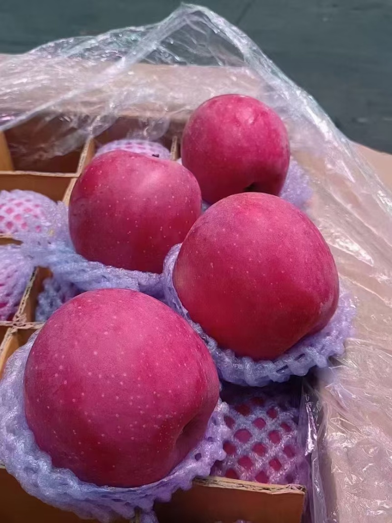 静宁红富士苹果