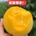 渭南合阳中油8号黄油桃价格可议
