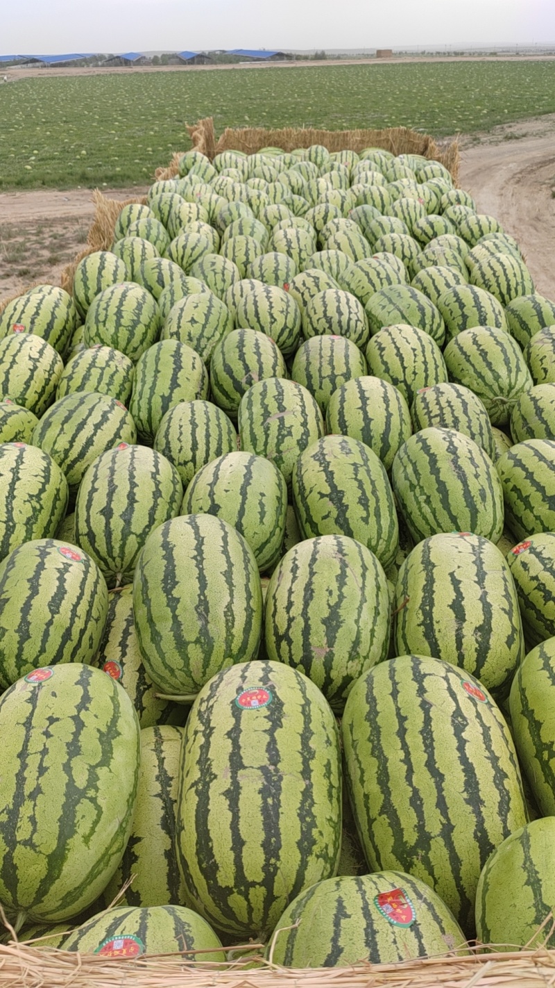 10到15斤起步，大量供货