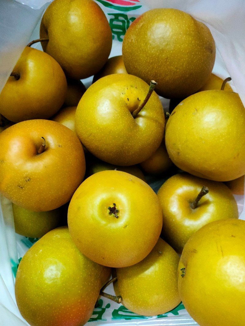 黄金梨，冰糖梨