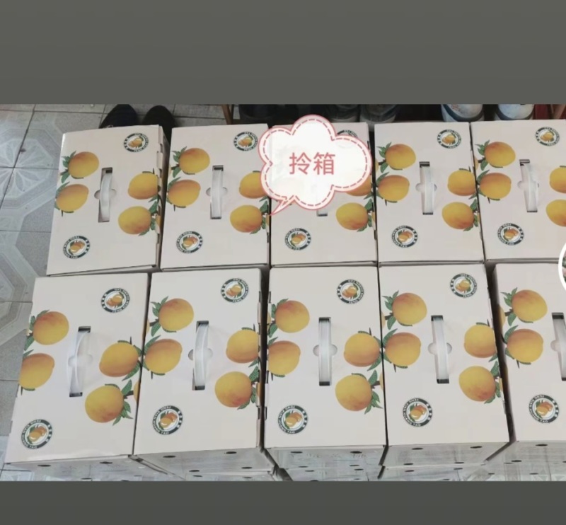 上海市奉贤青村光明的锦绣黄桃