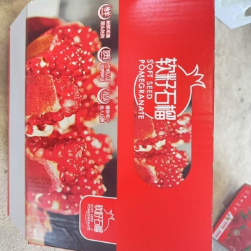 会理突尼斯软籽石榴一件代发