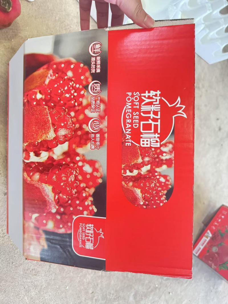 会理突尼斯软籽石榴一件代发