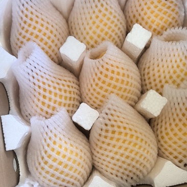 炎陵锦绣黄桃