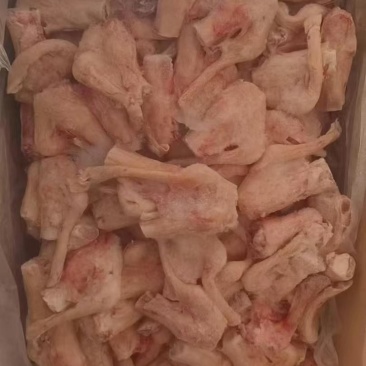 羊拐筋