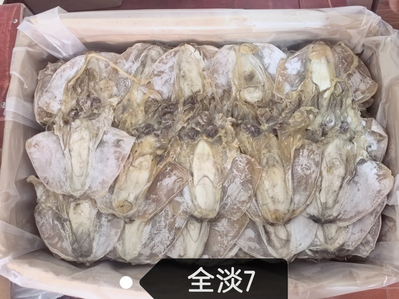 全淡干墨鱼7个一斤，浙江产地直销，一手货源