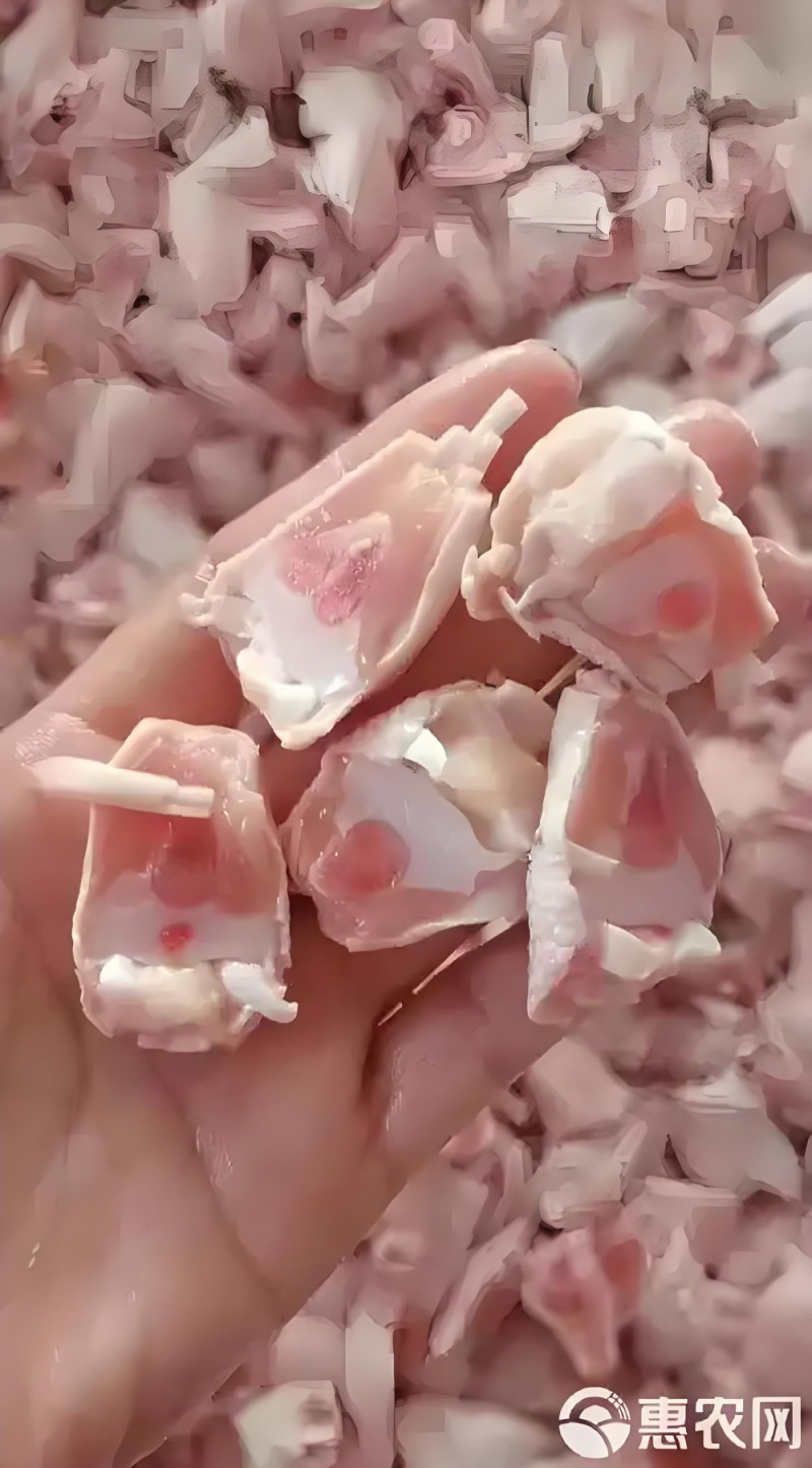 鸡脚筋
