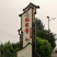 河北晋州马家庄皇冠梨