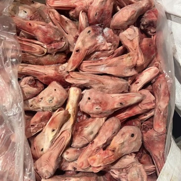 大板鸭头有货