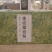 崇明翠冠梨