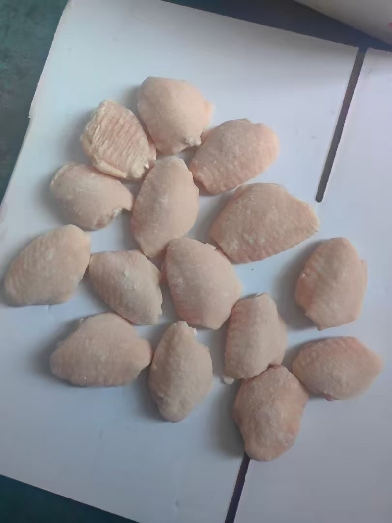 翅中纯干调理翅中水翅中各种规格