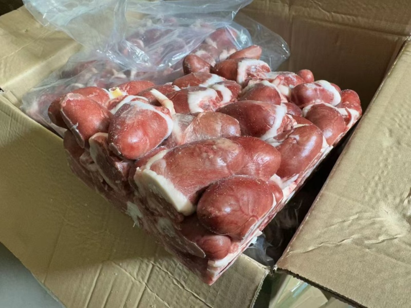 仔鹅中龄鹅老鹅一级二级两光鹅鹅副产品