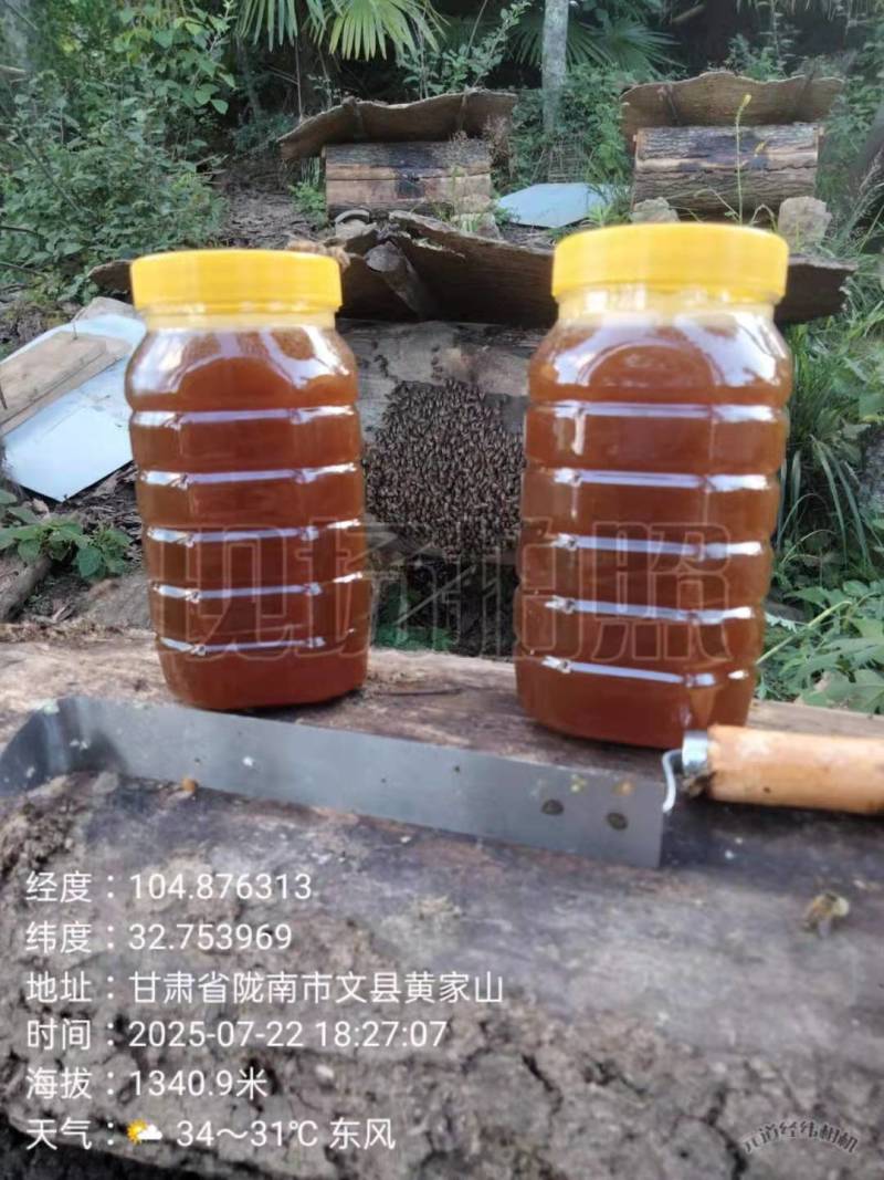 甘肃陇南高山土蜂蜜