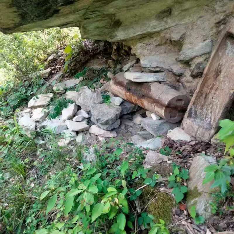 甘肃陇南高山土蜂蜜