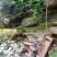 甘肃陇南高山土蜂蜜