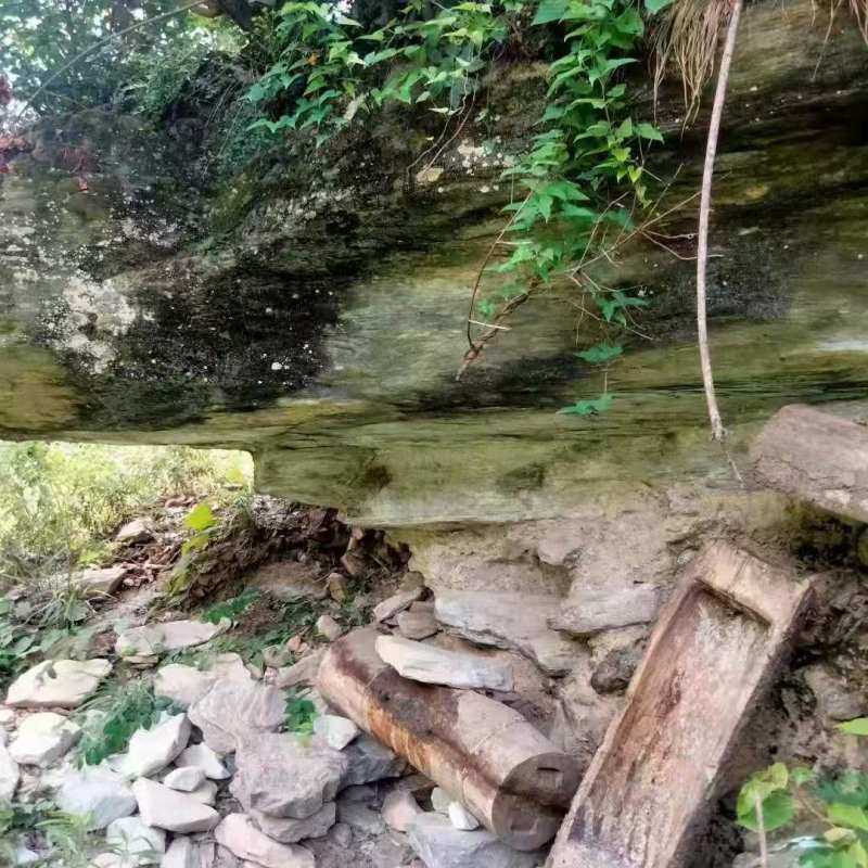 甘肃陇南高山土蜂蜜