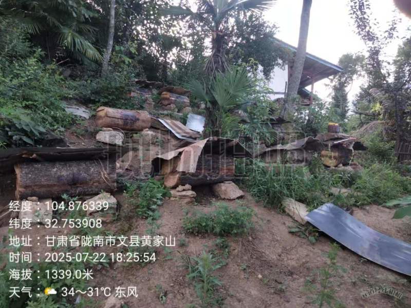 甘肃陇南高山土蜂蜜