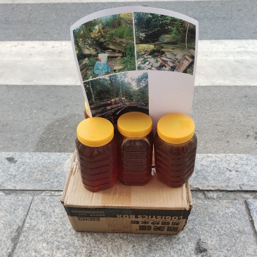 甘肃陇南高山土蜂蜜