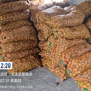 去皮的青皮核桃