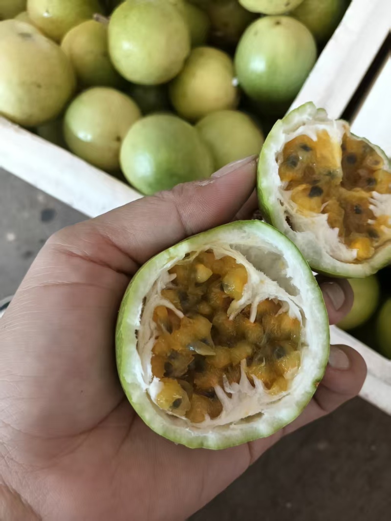黄金百香果钦密9号