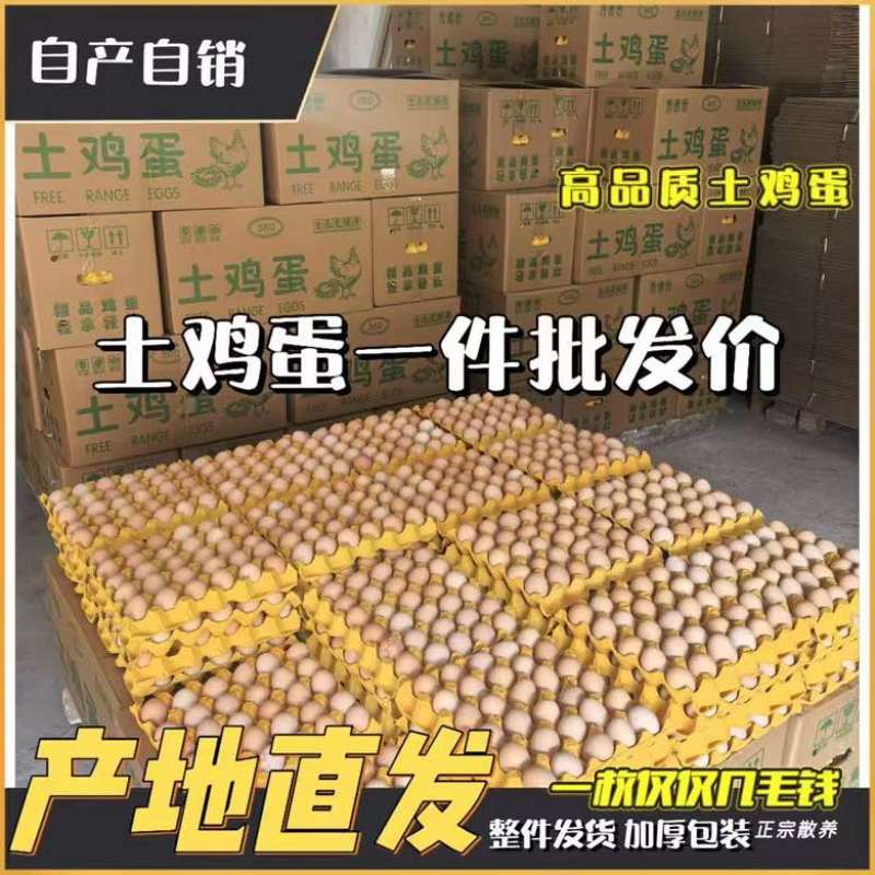 农家土鸡蛋批发