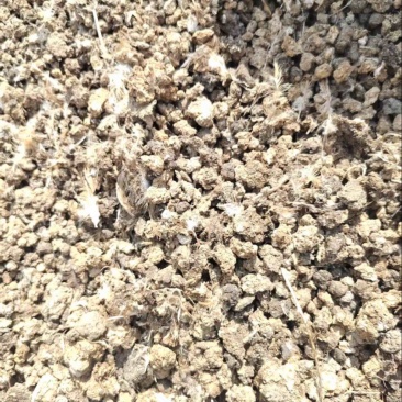 发酵腐熟纯鸡粪农家肥改良土壤底肥瓜果蔬菜农作物肥料