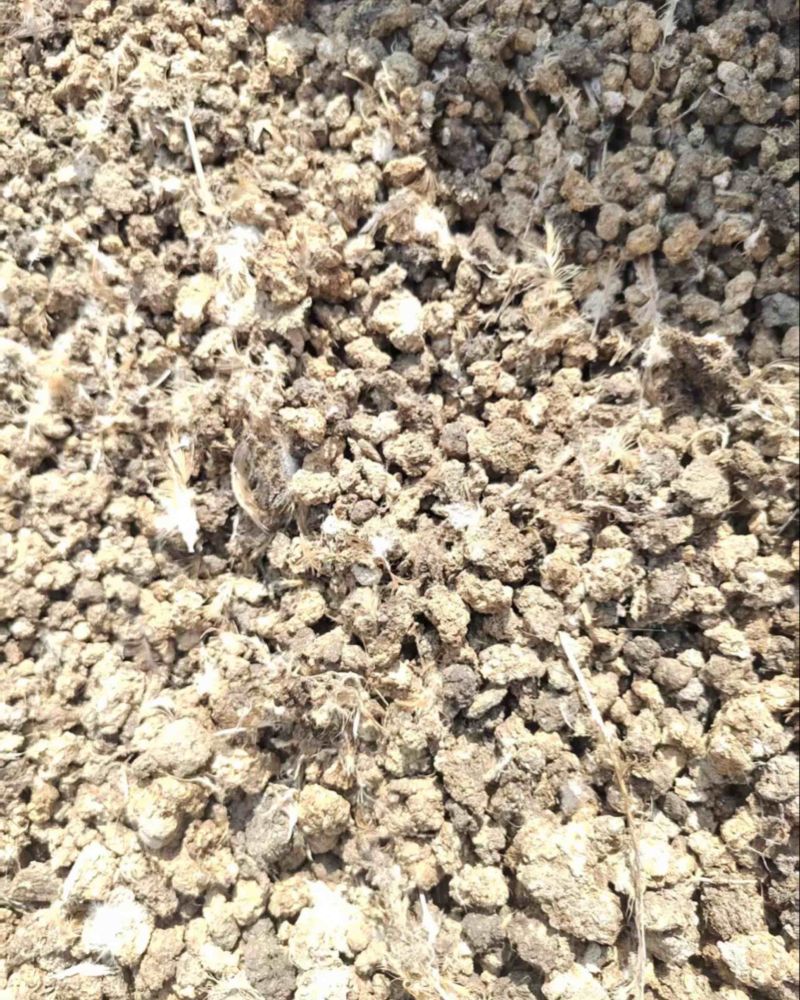 发酵腐熟纯鸡粪农家肥改良土壤底肥瓜果蔬菜农作物肥料
