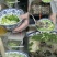 乌鸡米线浇头