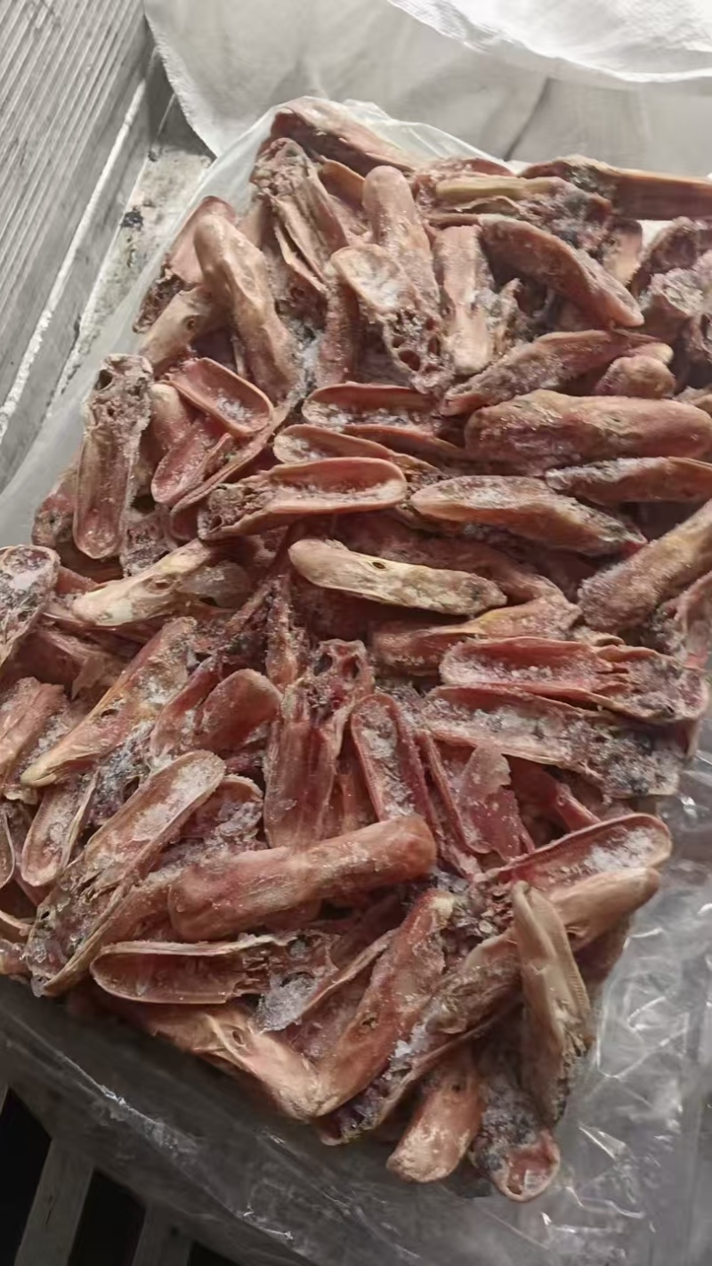 鸭上颚有货