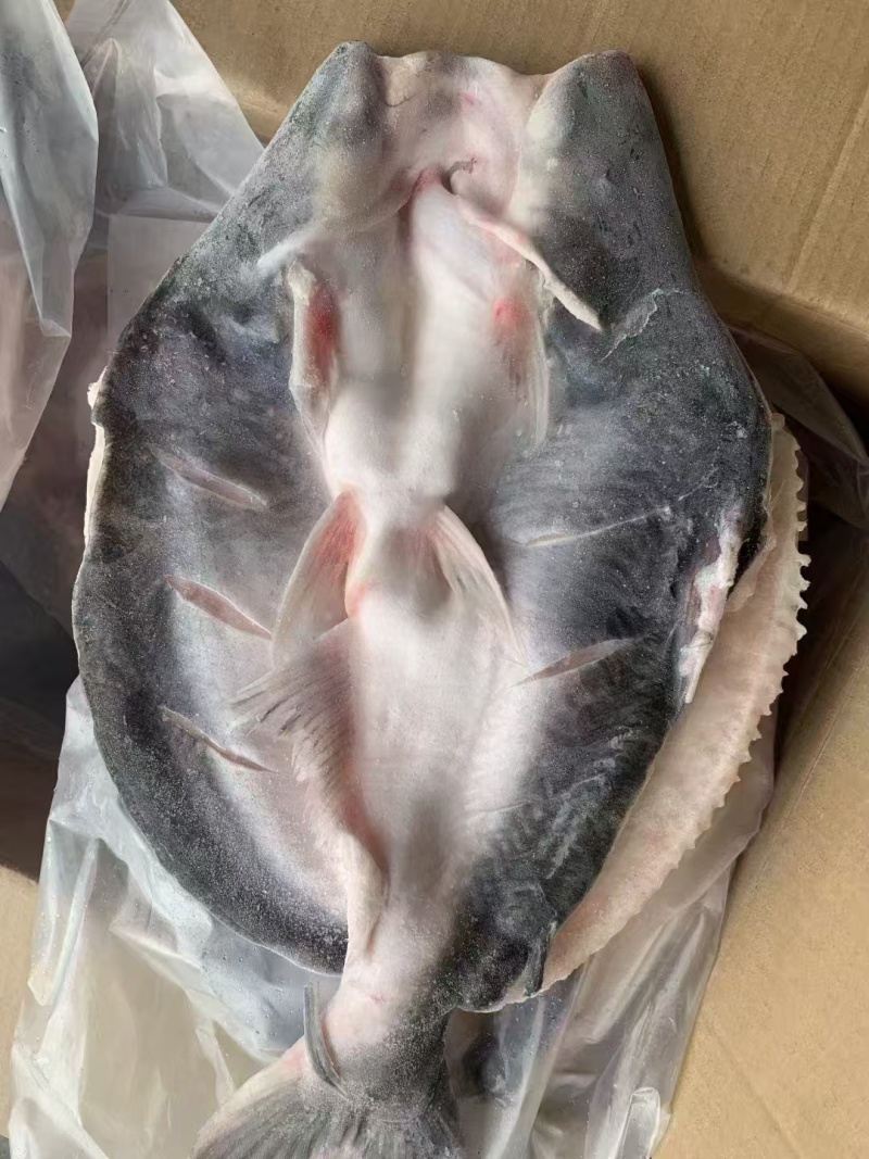 开背腌制巴沙鱼，翻骨的