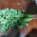大叶香菜