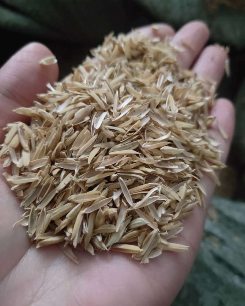 大米副产品，稻壳