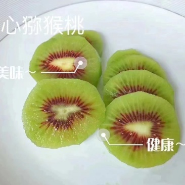 湖南湘西猕猴桃