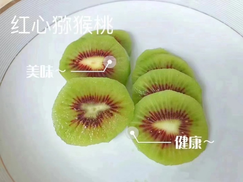 湖南湘西猕猴桃
