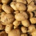 各类土豆沃土，雪川红，希森6，V七，太和等品种
