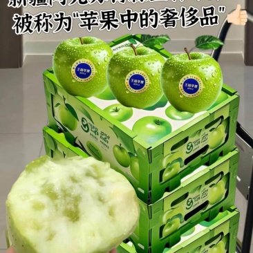 阿克苏青森王林苹果300亩