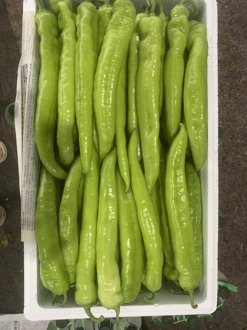 螺丝椒，芜湖椒，黄皮尖椒