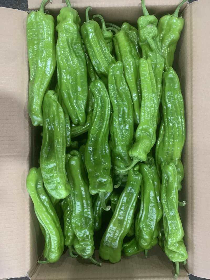 螺丝椒，芜湖椒，黄皮尖椒