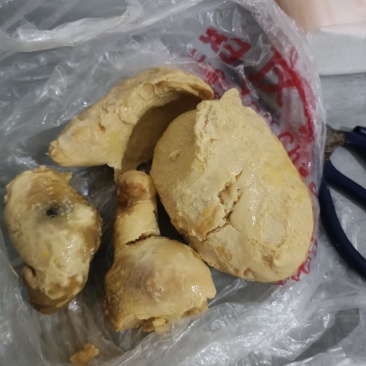 鸡宝