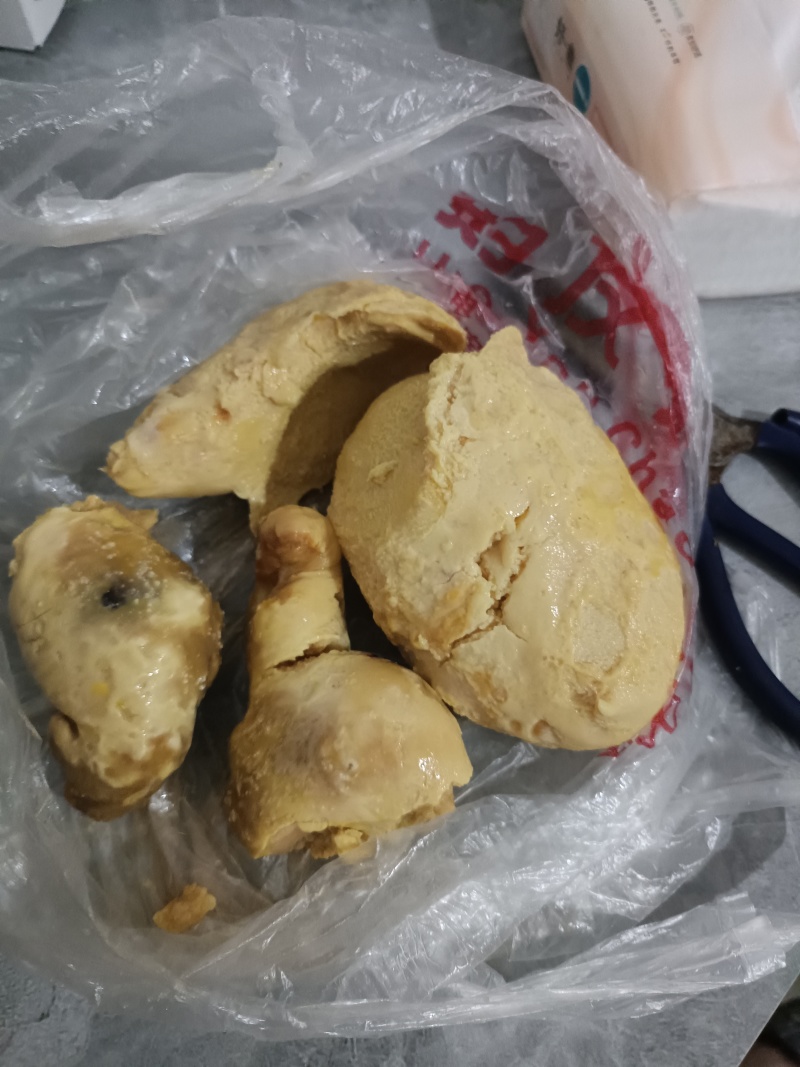 鸡宝
