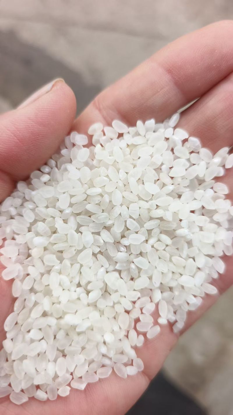 东北一级珍珠米，碎米，长粒米，稻花香