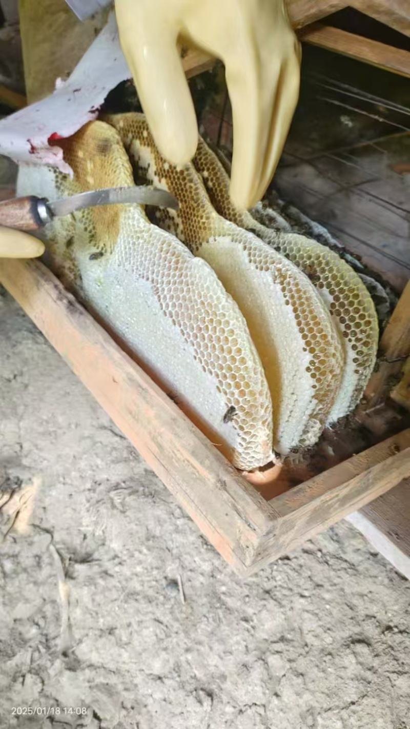 土蜂蜜