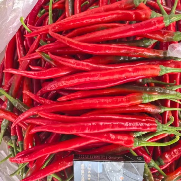 3号红辣椒，青椒，小米椒