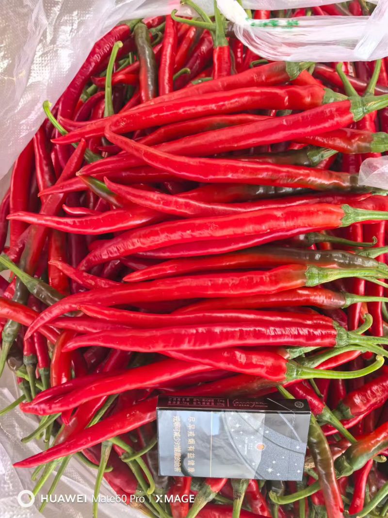 3号红辣椒，青椒，小米椒