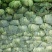 莲花白，二荆条，大青椒，耙耙椒