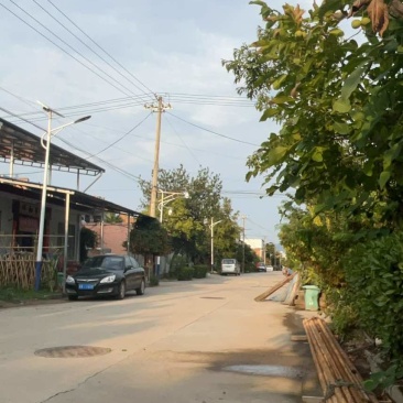 户太八号大量上市需要联系
