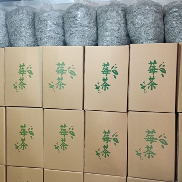 张家界莓茶藤茶