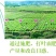 张家界莓茶藤茶