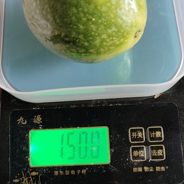 福建龙岩上杭钦蜜九号百香果